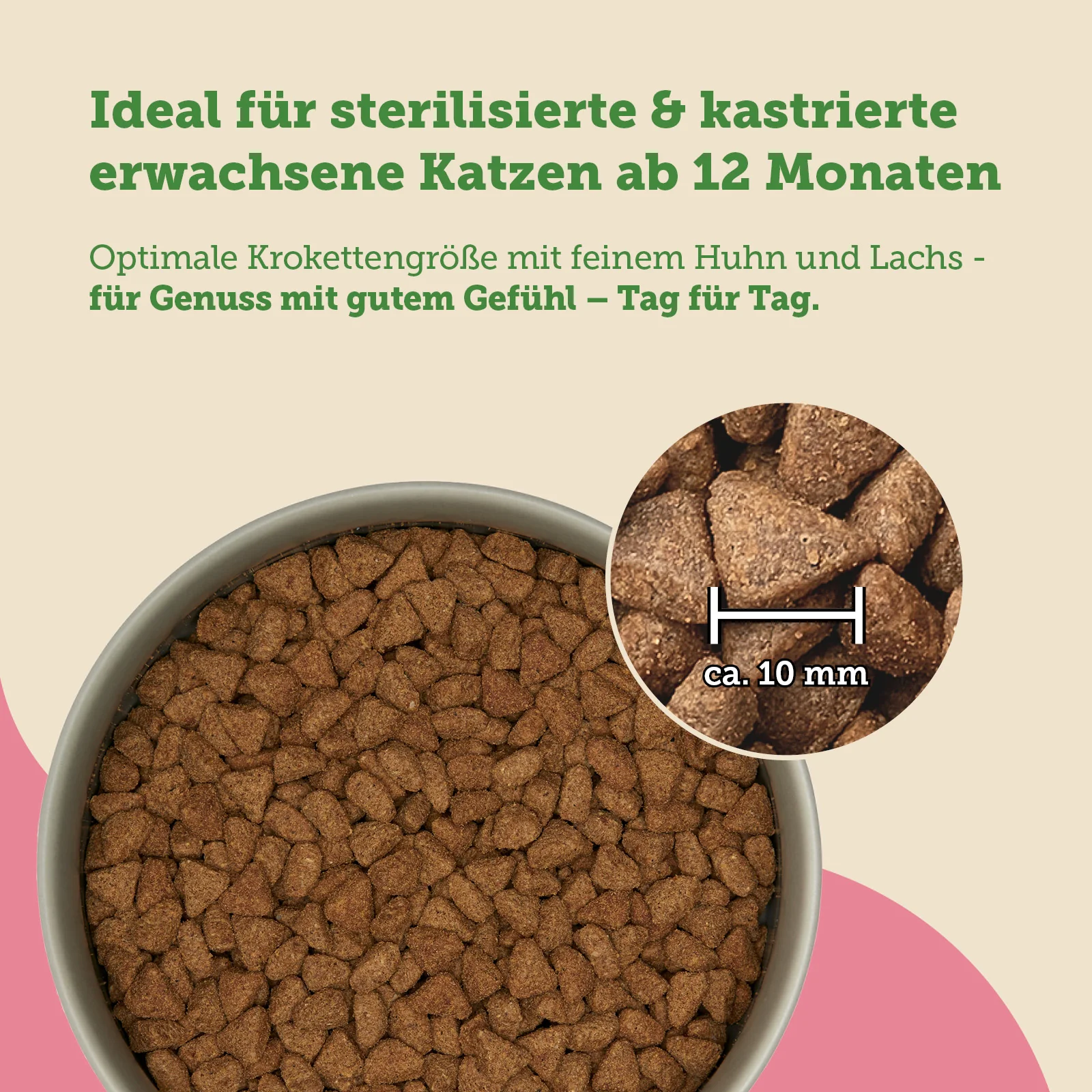 Vorschaubild 5