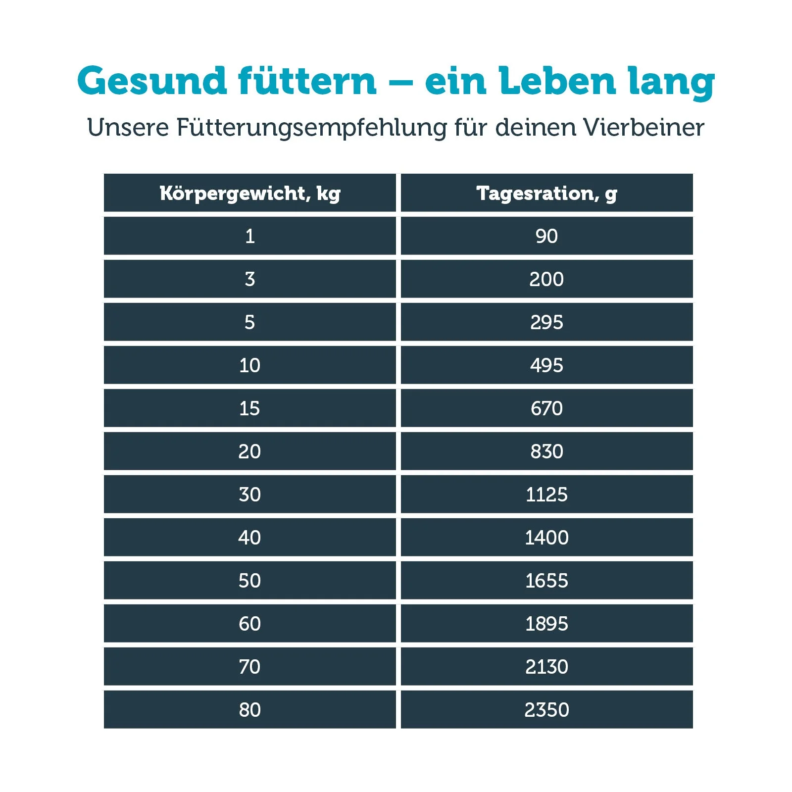 Vorschaubild 7