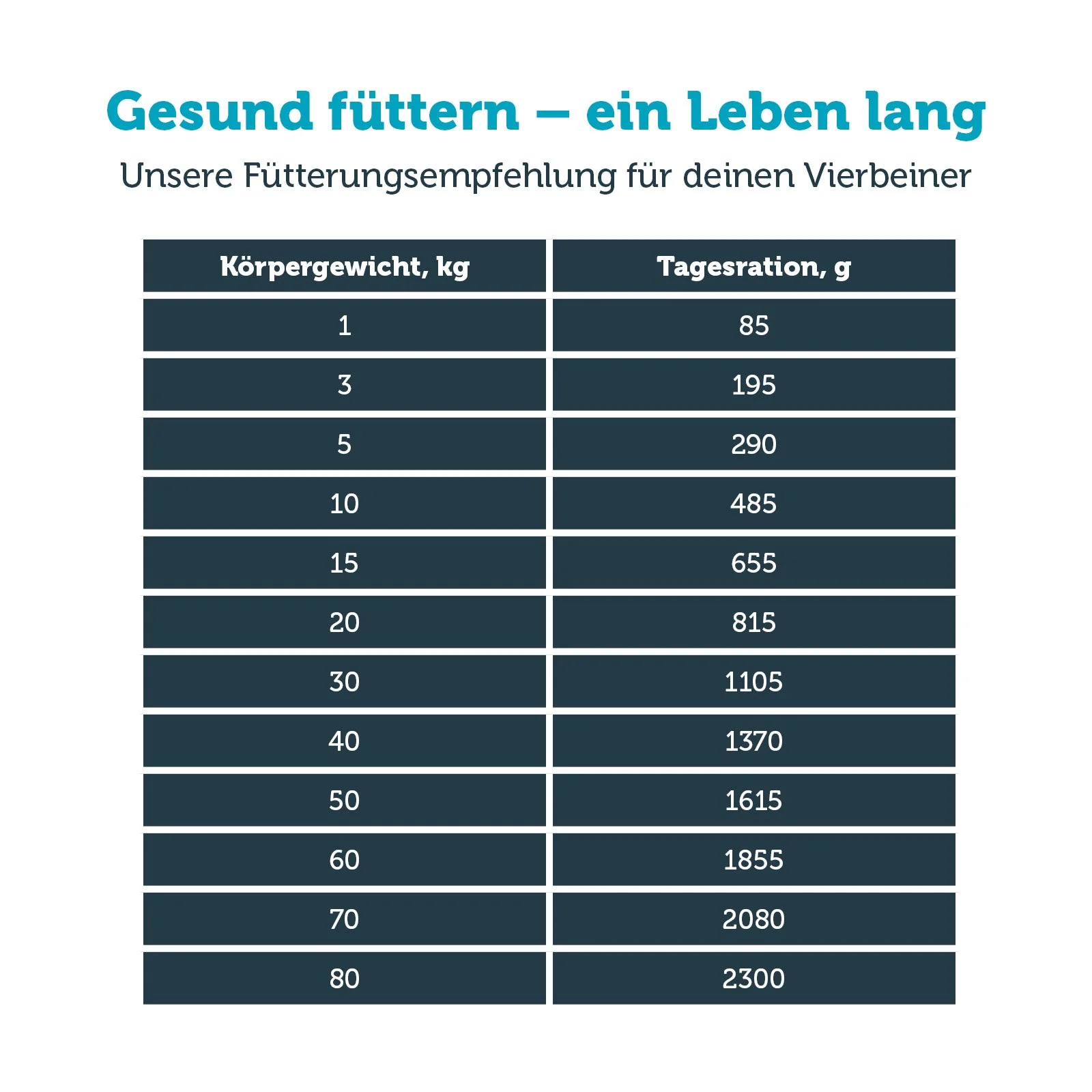 Vorschaubild 7