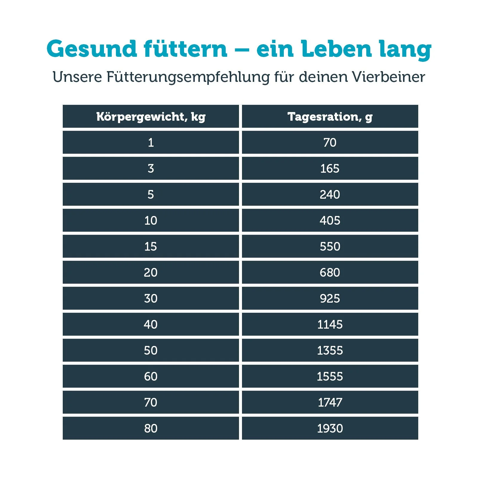 Vorschaubild 7