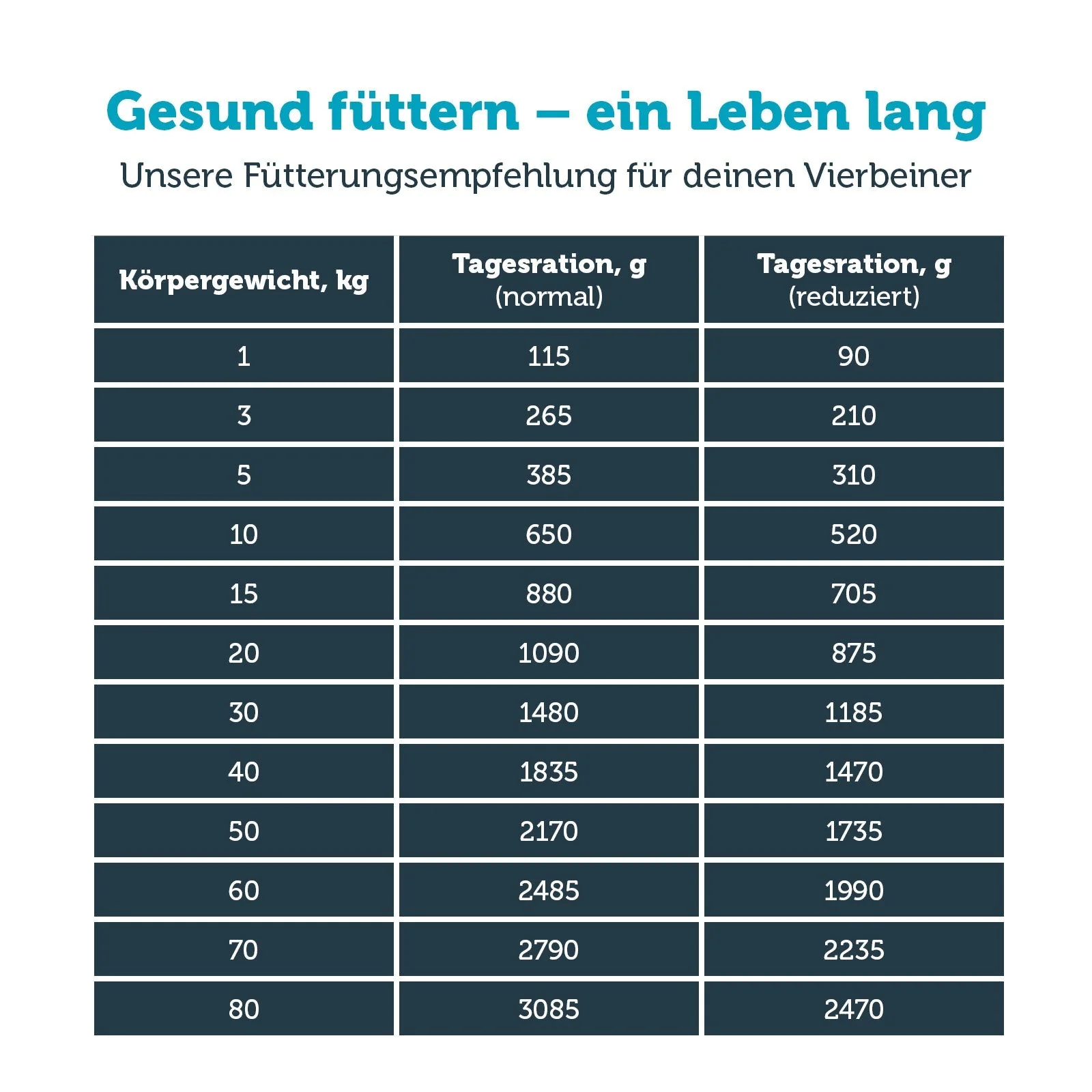 Vorschaubild 7