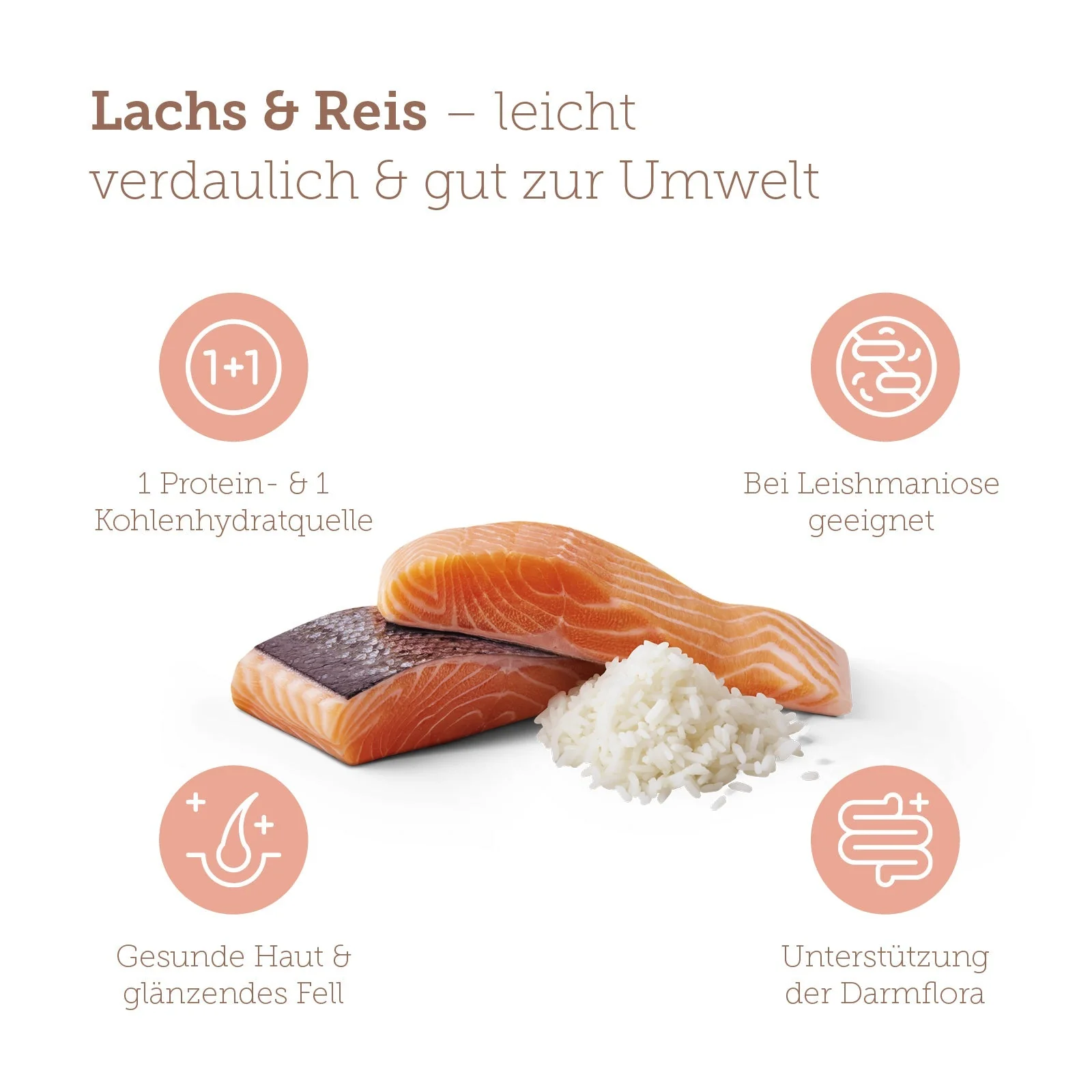 Vorschaubild 8