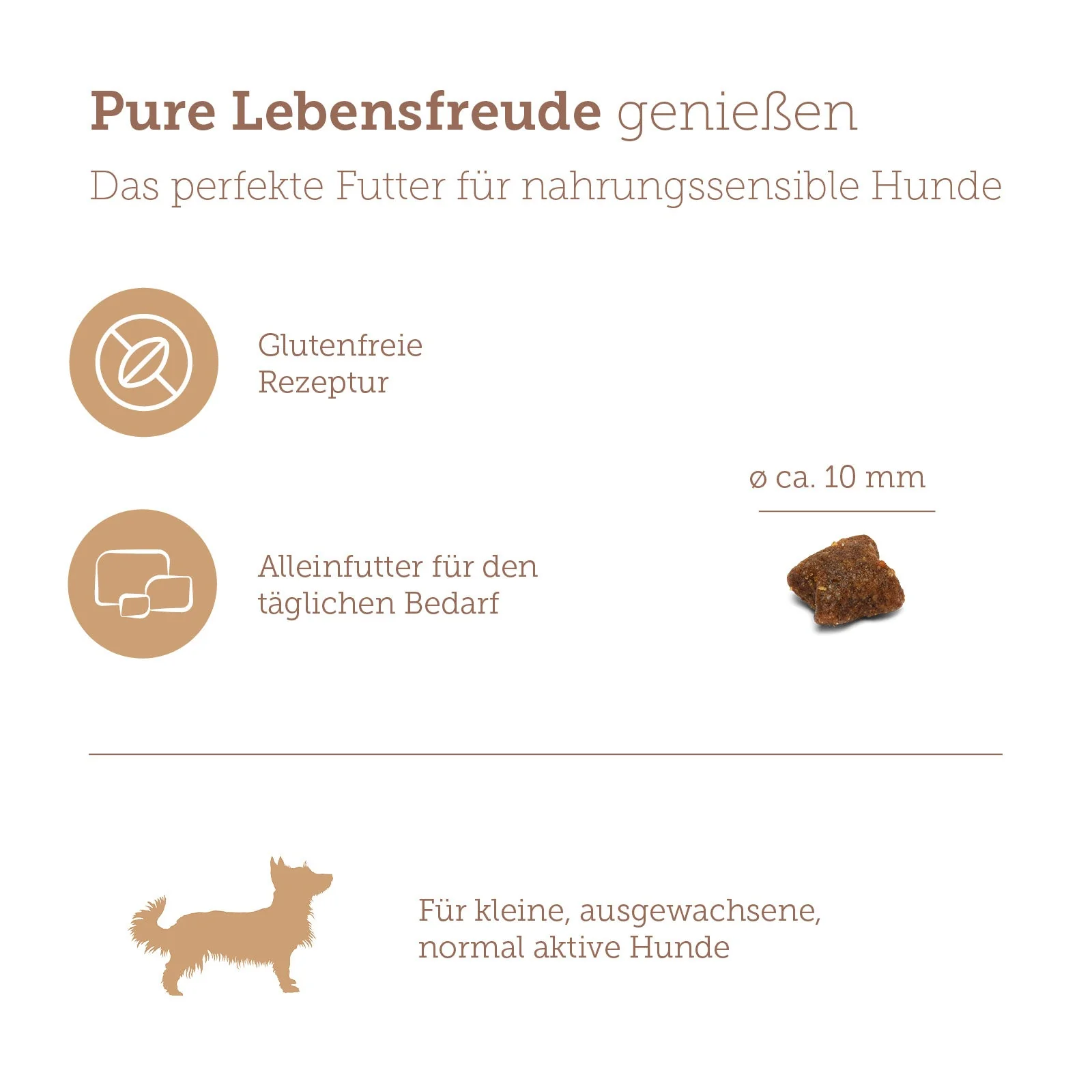 Vorschaubild 7