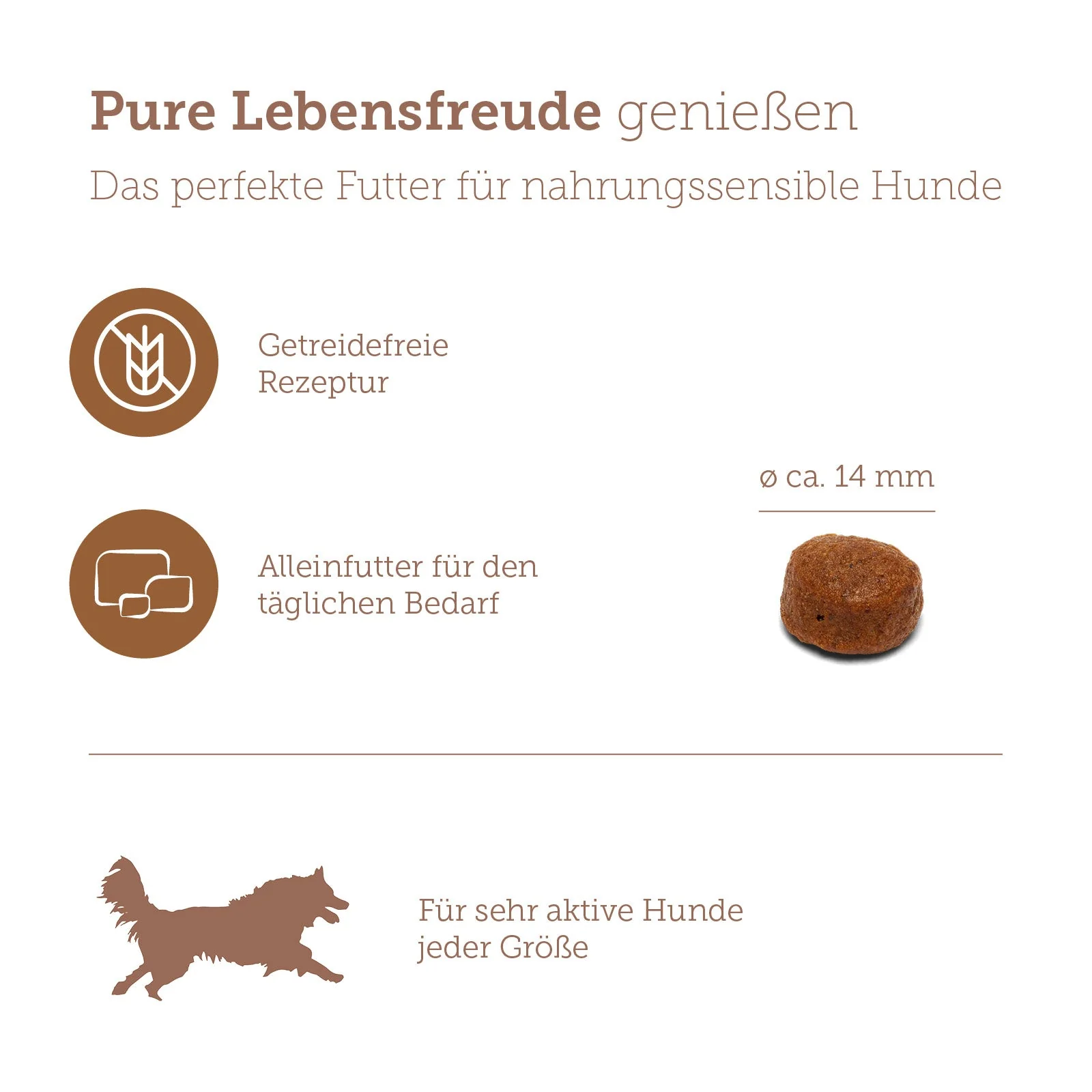Vorschaubild 7