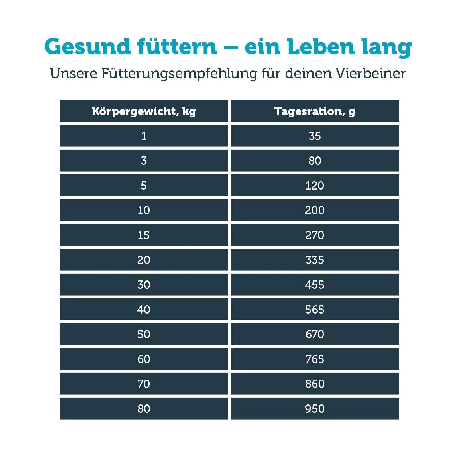 Vorschaubild 7