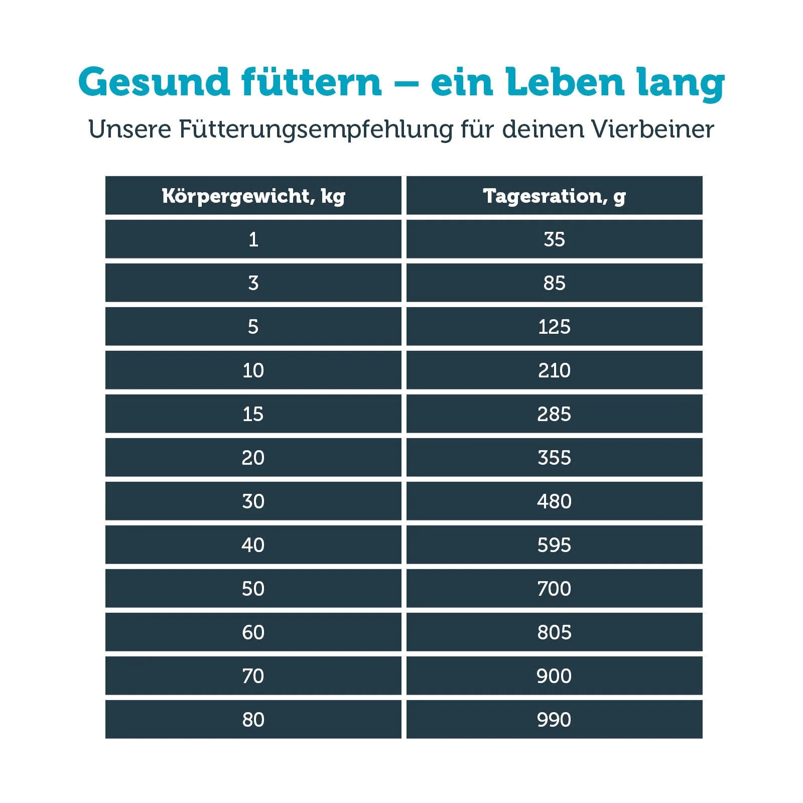 Vorschaubild 7