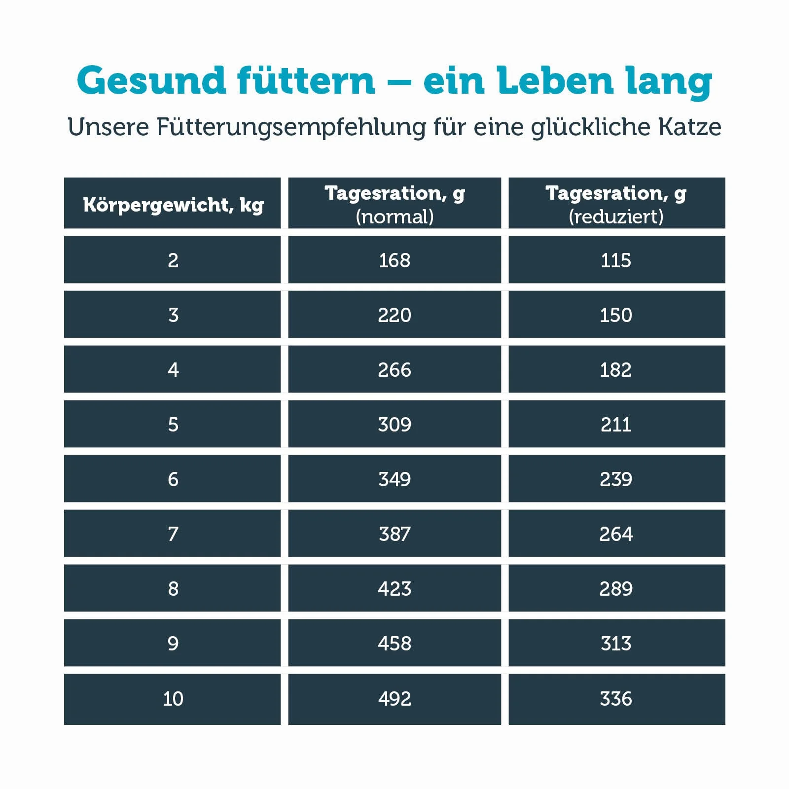 Vorschaubild 7